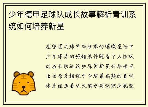 少年德甲足球队成长故事解析青训系统如何培养新星
